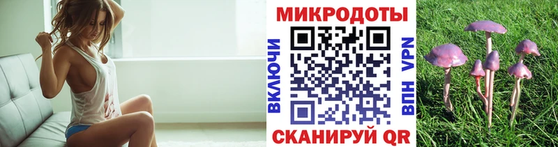 купить наркотики сайты  Балтийск  Псилоцибиновые грибы MAGIC MUSHROOMS 